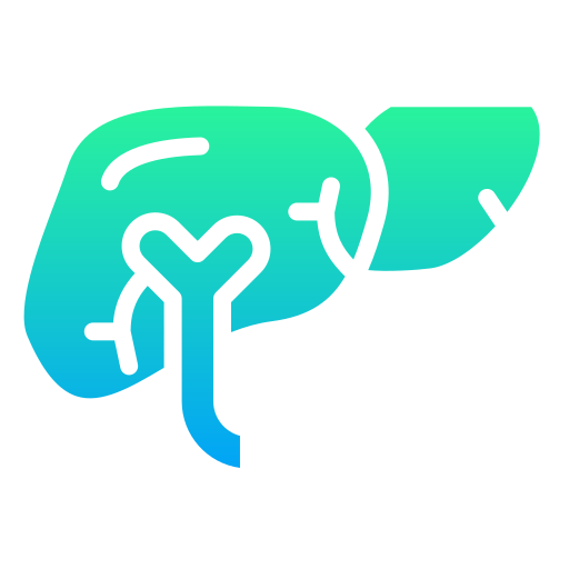 liver organ_17863648